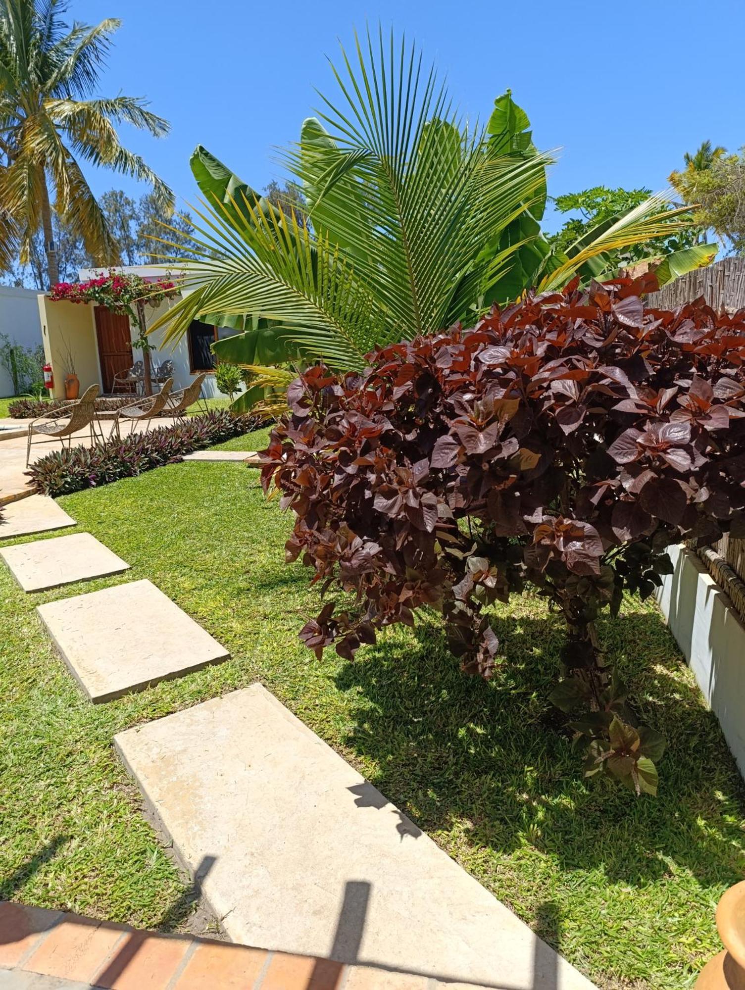 Telvina Beach Lodge 维兰库卢什 外观 照片